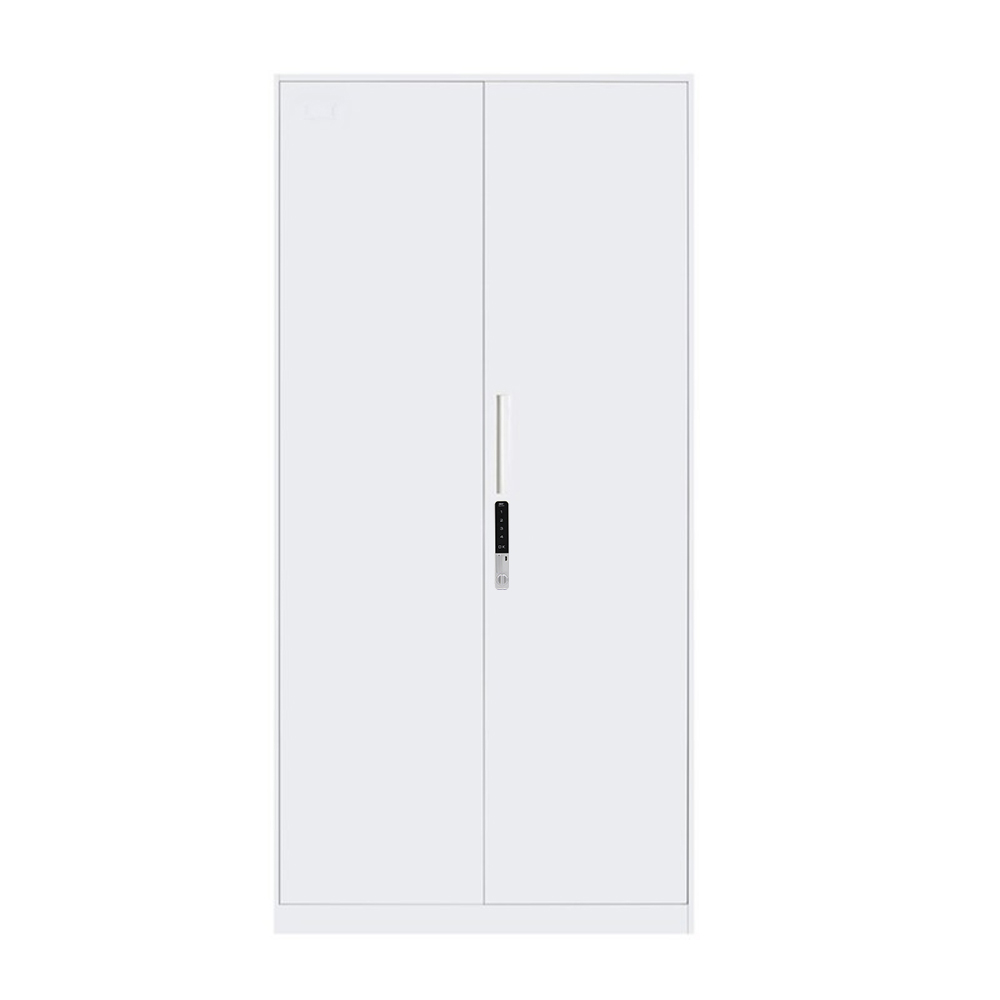 望通电子锁薄边大门柜