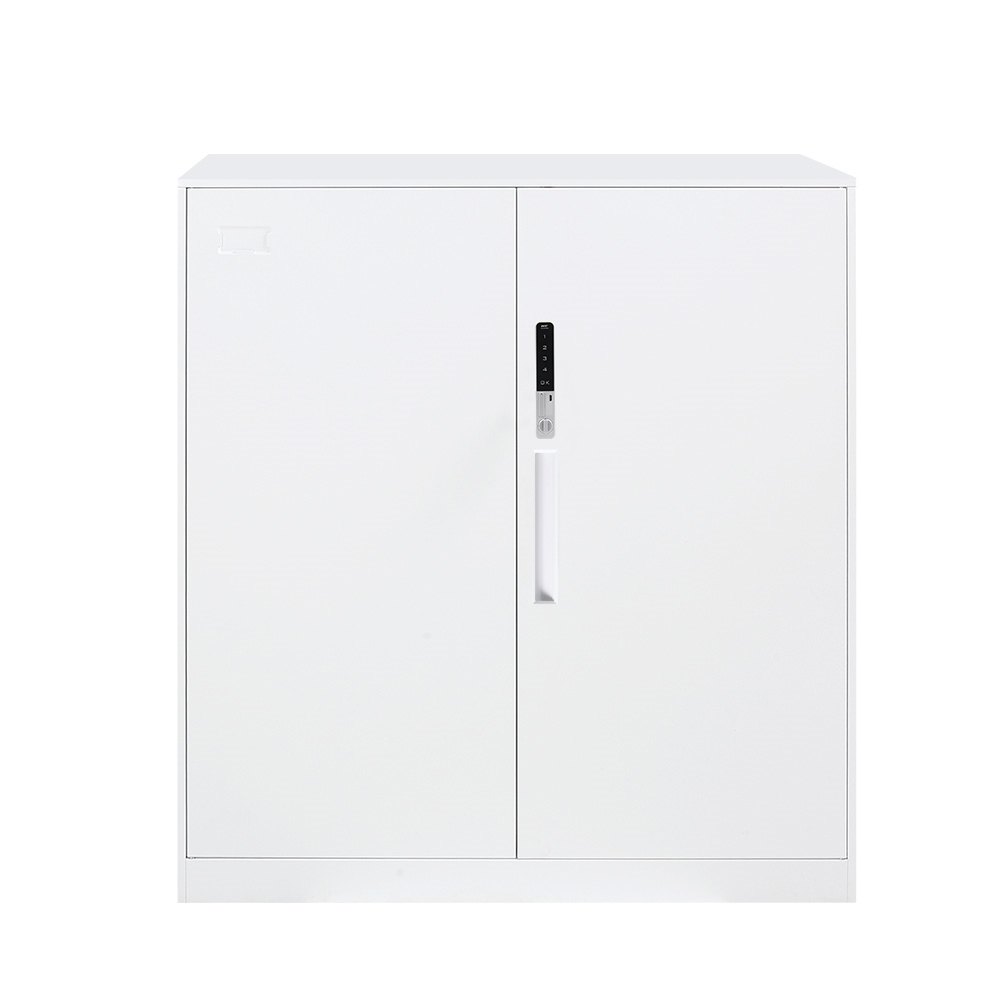 望通电子锁薄边矮柜