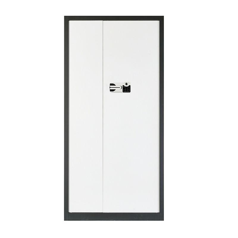 套色国保指纹锁大门柜